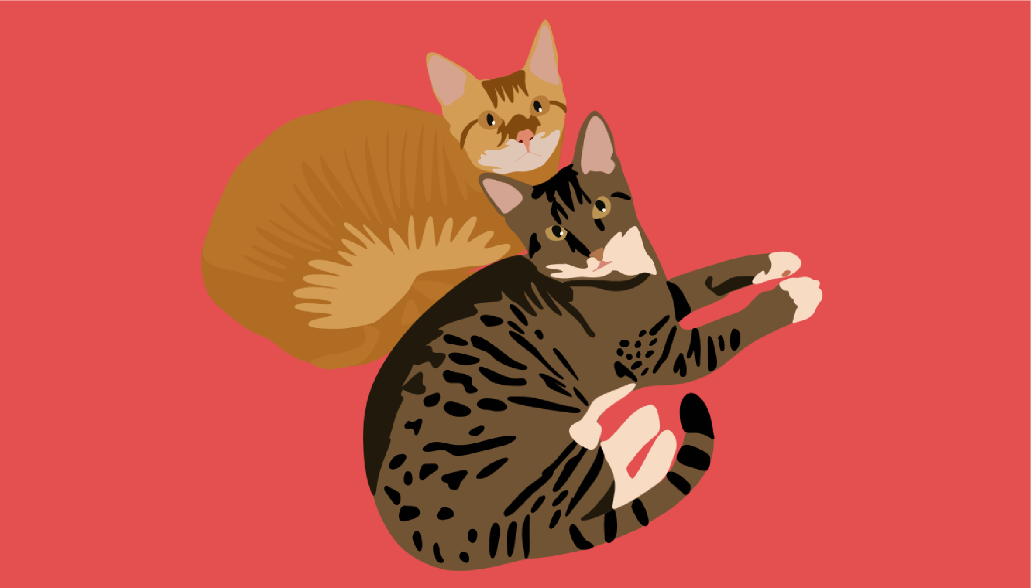 image alt tag goes here
